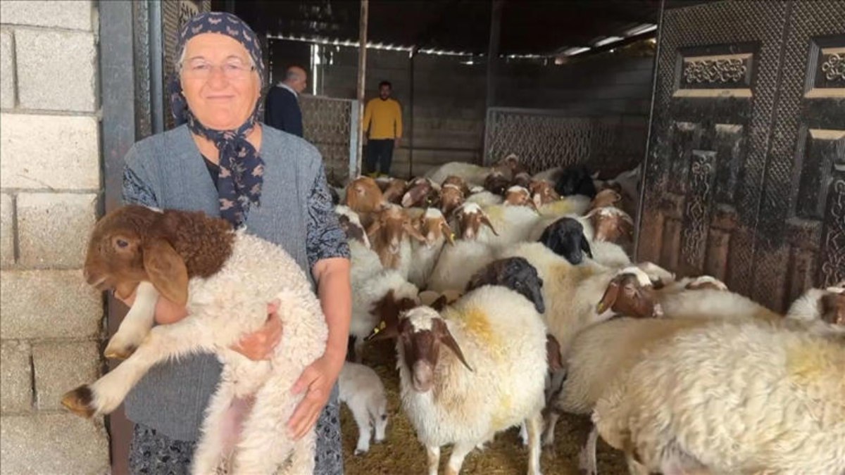 Kahramanmaraş depreminin ardından Tanrıverdi ailesinin yeniden hayata tutunma mücadelesini keşfedin.