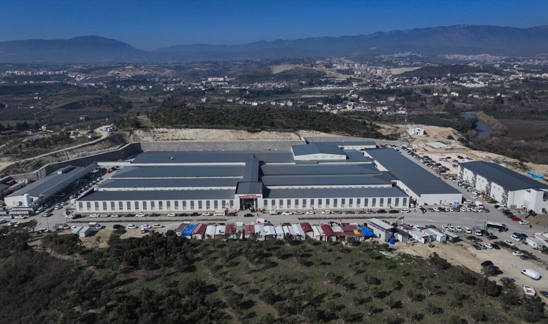 Kahramanmaraş depremleri sonrası Defne Devlet Hastanesi'nin olağanüstü başarıları ve sağlık