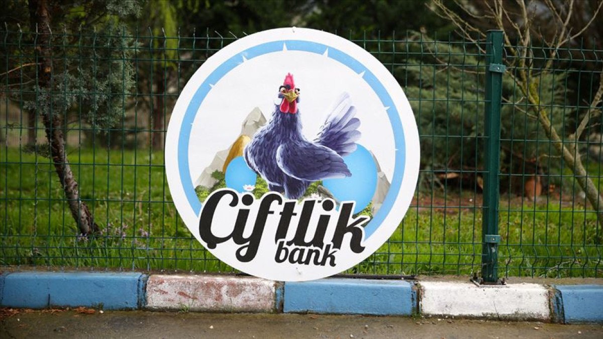 Kamuoyunun Gündemindeki Davada Kritik Gelişmeler