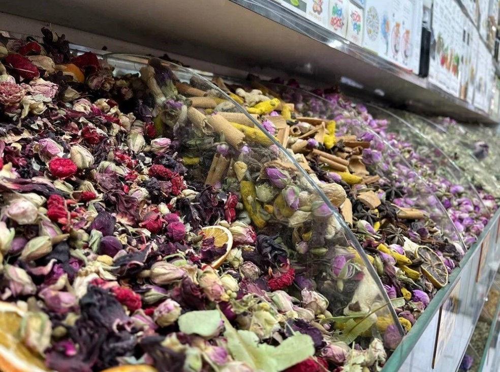 Kar Olmadığı İçin Bakteri Dengelemesi