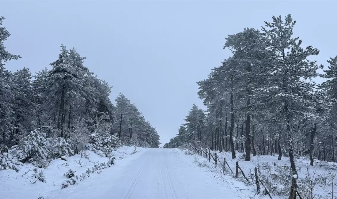 Karabük ve Bolu'da kışın sunduğu eşsiz manzaralarla dolu bir yolculuğa