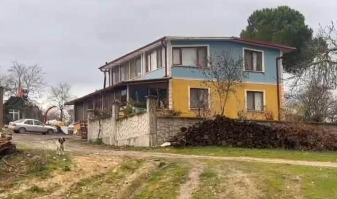 Kaynarca'da meydana gelen olayda, genç bir adam annesini vurduktan sonra