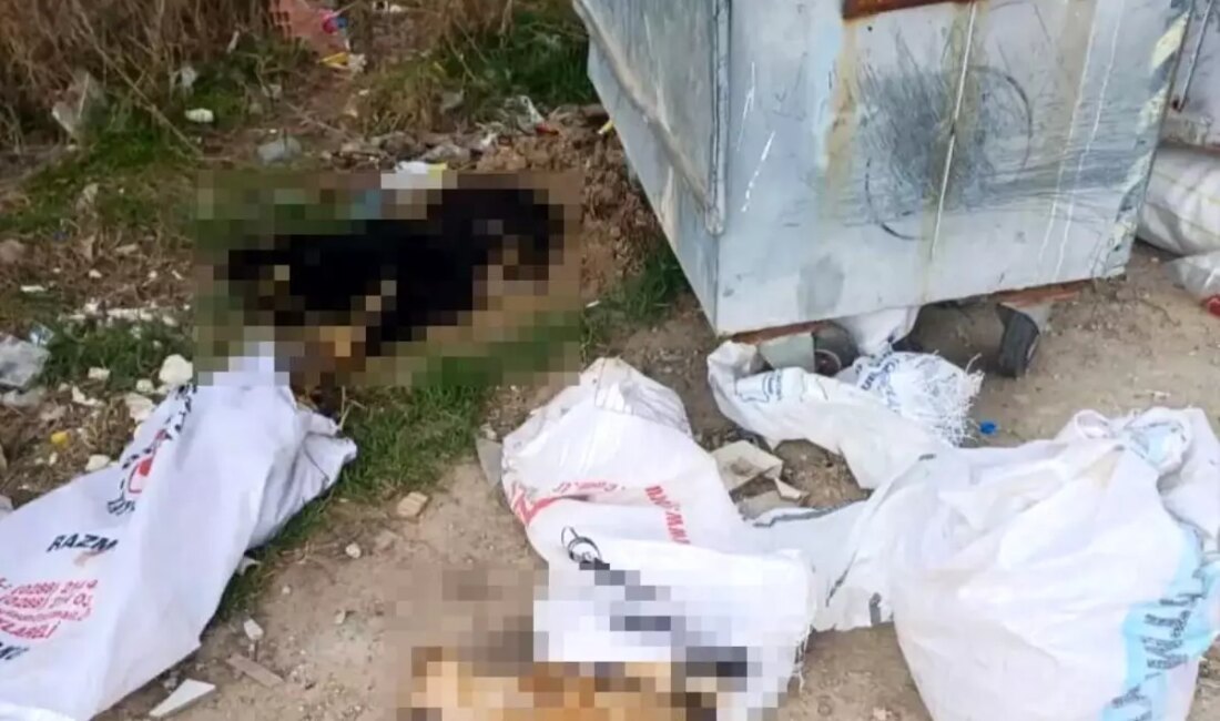 Kırklareli'nde meydana gelen köpek ve kuzu ölümleri üzerine başlatılan soruşturma,