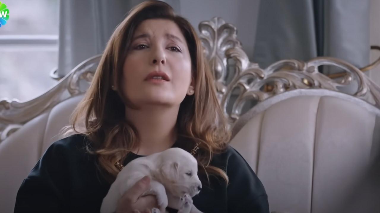Kızılcık Şerbeti Dizisinde Sokak Köpekleri Tartışması