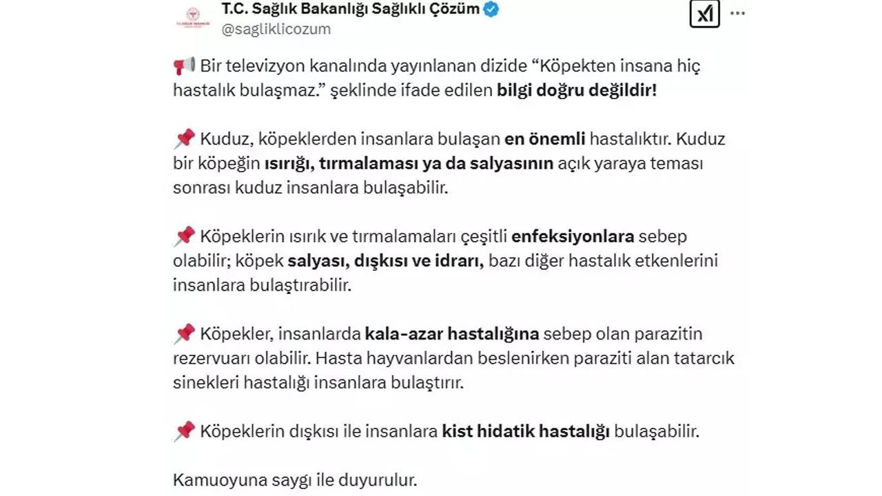 Kızılcık Şerbeti Dizisinde Sokak Köpekleri Tartışması ve Sağlık Bakanlığı Uyarısı