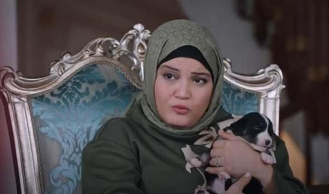 Kızılcık Şerbeti dizisinde sokak köpekleri üzerine yapılan tartışmalar ve Sağlık