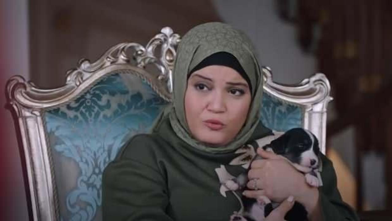 Kızılcık Şerbeti dizisinde sokak köpekleri üzerine yapılan tartışmalar ve Sağlık