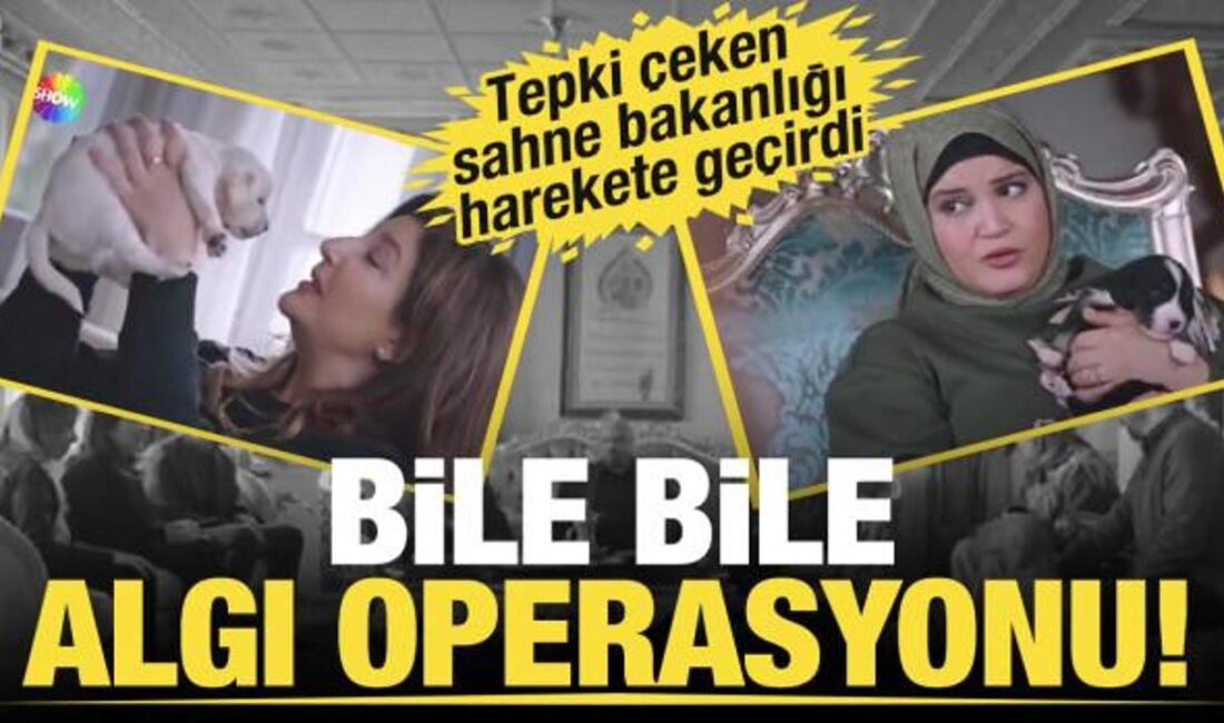 Kızılcık Şerbeti dizisinde sokak köpekleri üzerine yapılan tartışmalar ve Sağlık