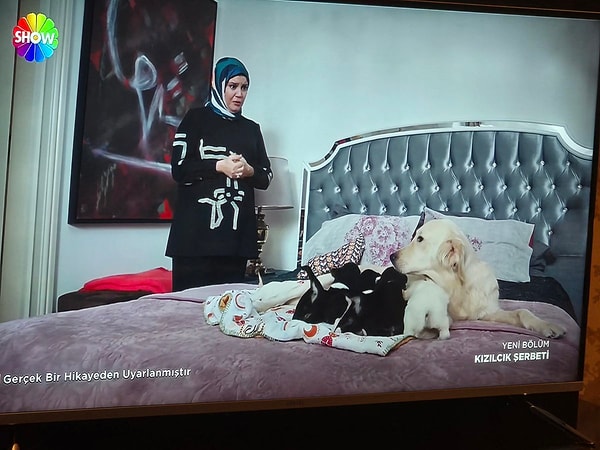Kızılcık Şerbeti'nde Sağlık Bakanlığı'ndan Tepki Çeken Diyalog