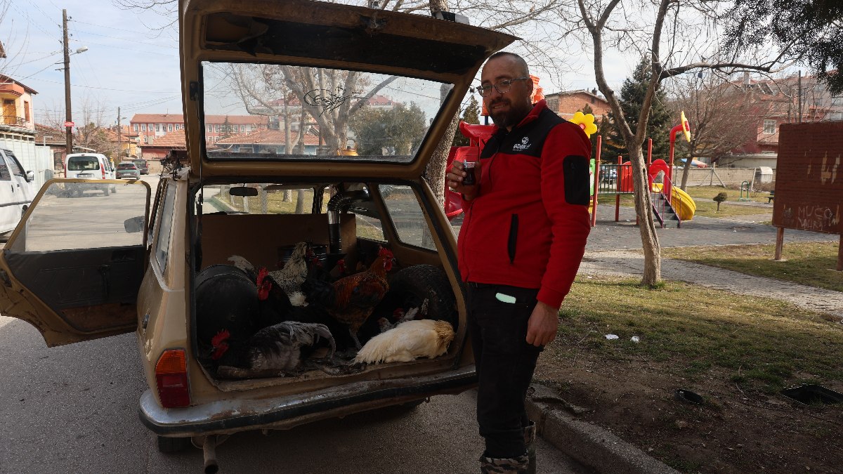 Konya'da tavuk taşıma yöntemleri üzerine keşfedilmemiş bir hikaye sizi bekliyor.