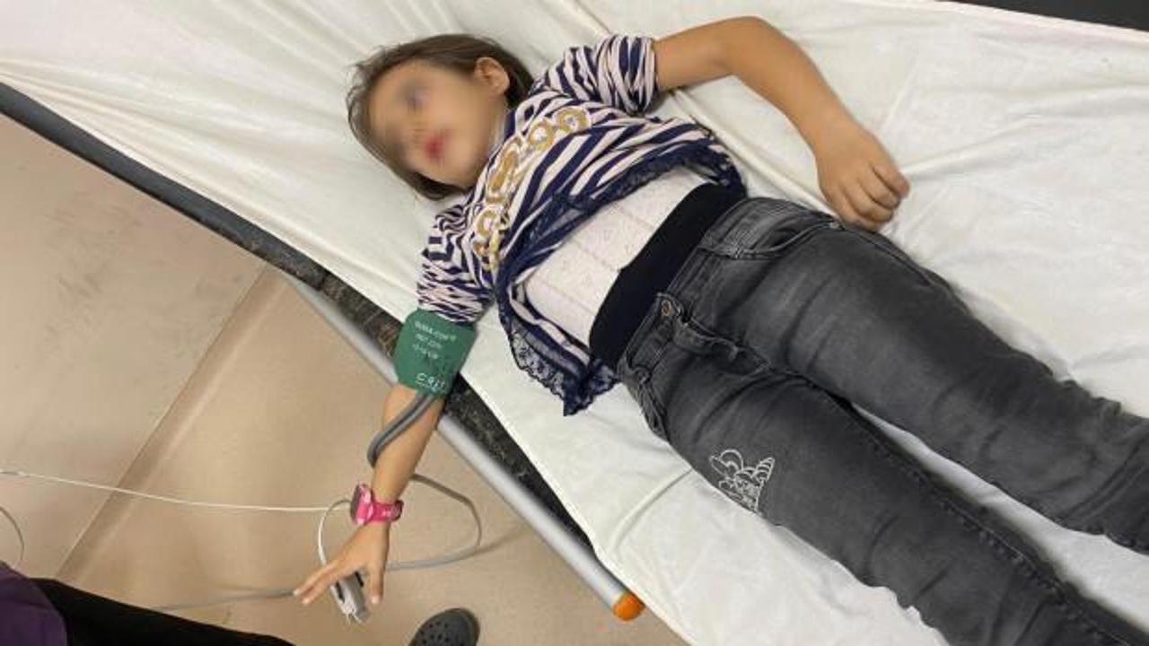 Köpeklerin saldırısı sonucu bir öğrencinin hastanelik olmasının detaylarını öğrenin. Olayın