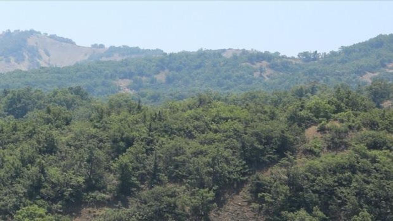 Korunan alanlara olan ilginin artışı, doğa ve ekosistem koruma bilincini