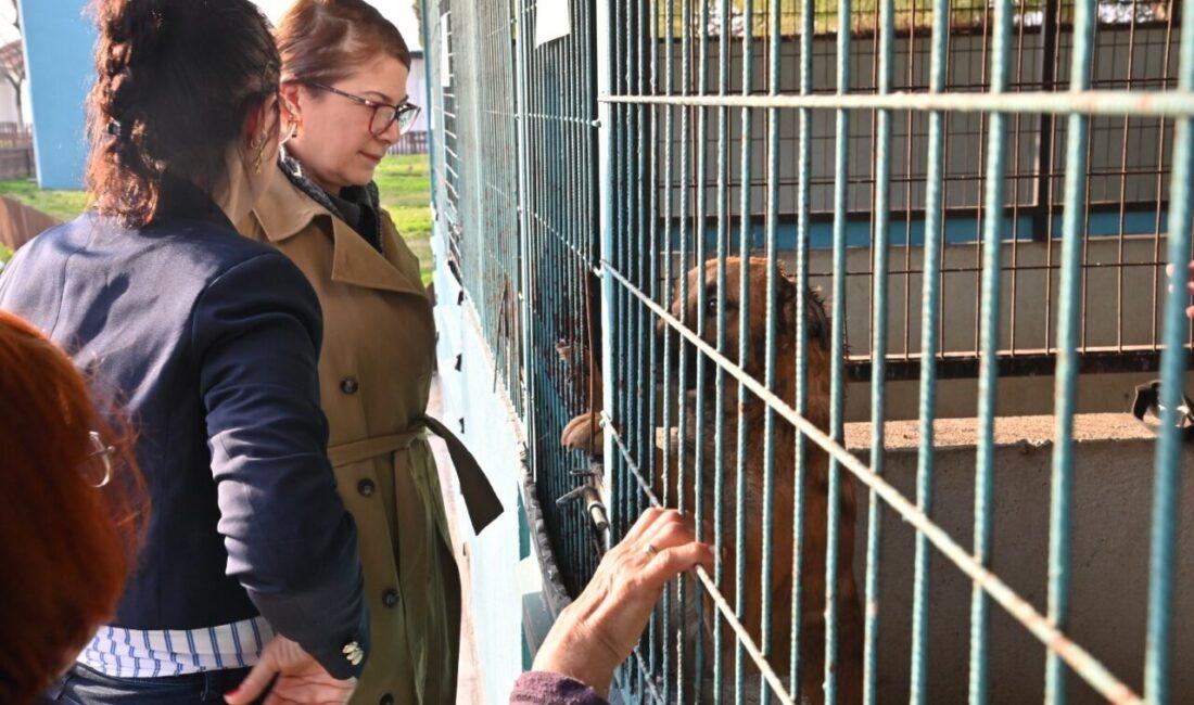 Manisa Büyükşehir Belediyesi’nde görevli Daire Başkanı Zeynep Çetinkaya, hayvanlara yönelik