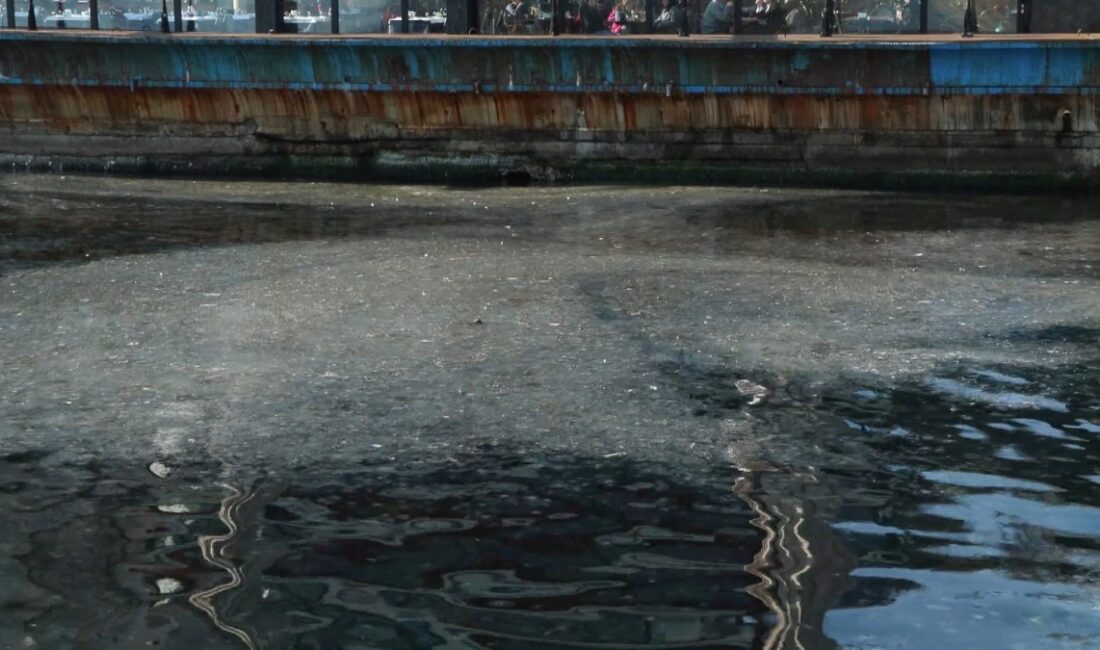 Marmara'nın farklı bölgelerinde görülmeye başlanan müsilaj, Kadıköy Sahilleri'nde deniz yüzeyini
