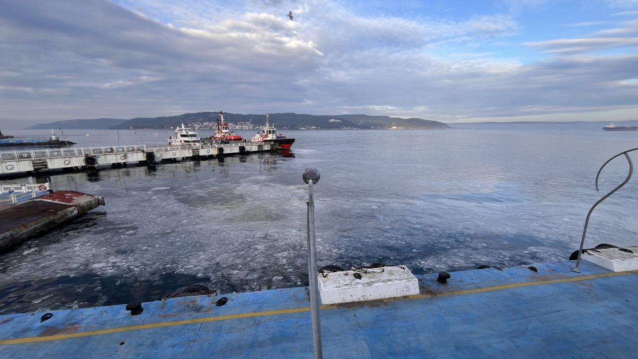 Marmara Denizi'nde Müsilaj Sorunu ve Çözüm Arayışları