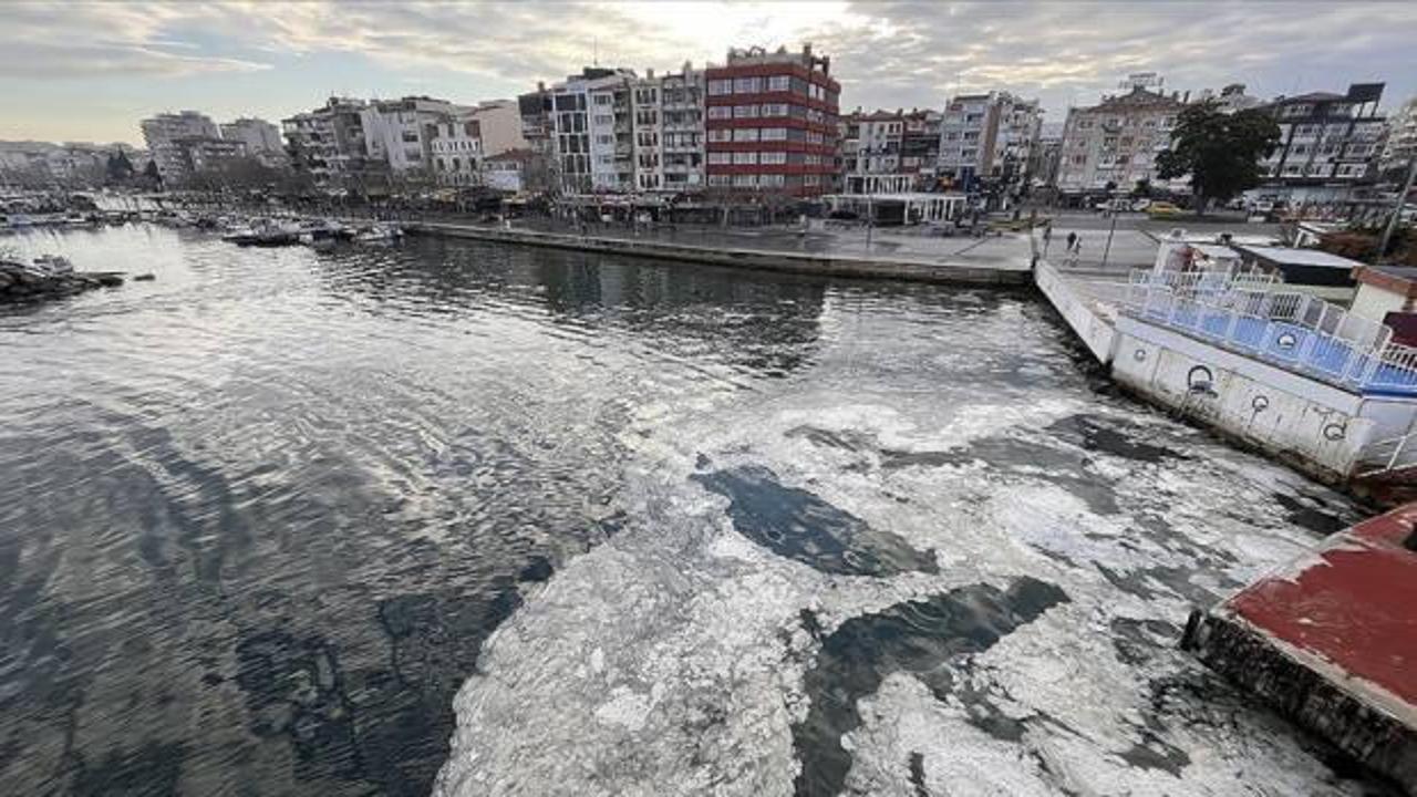 Marmara Denizi'nde artan müsilaj sorunu, ekosistem ve deniz yaşamı için