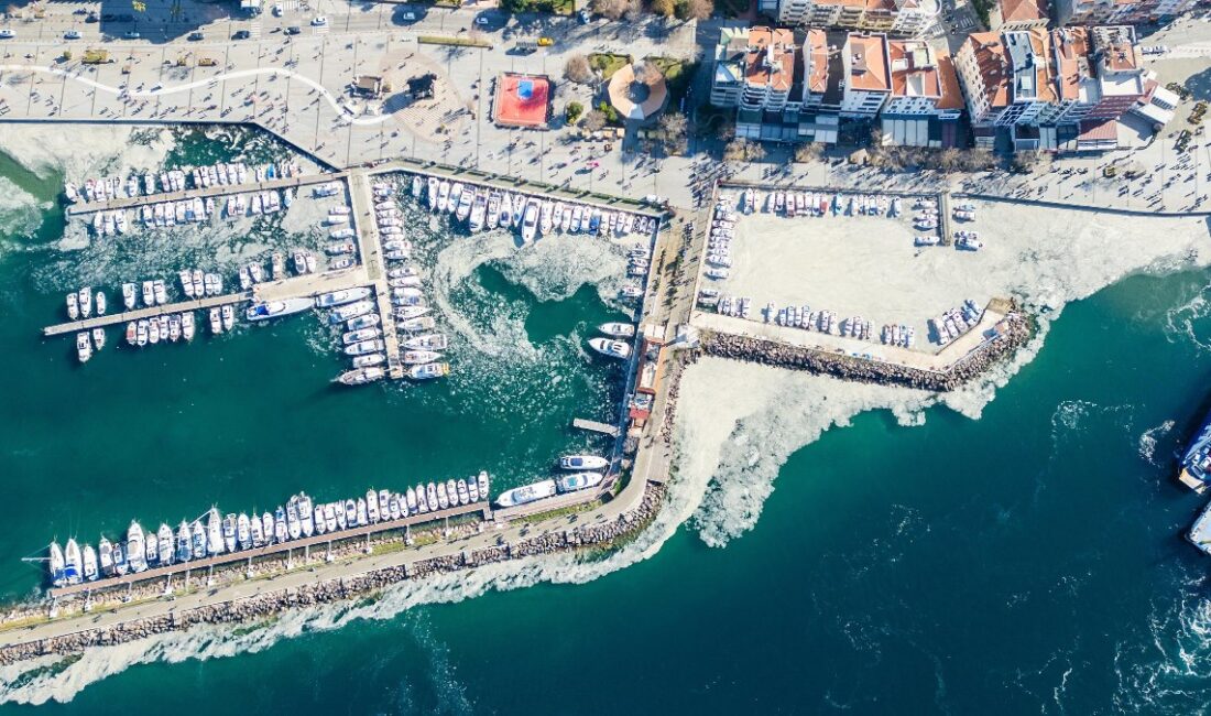 Marmara Denizi'nde müsilaj sorunu yeniden gündeme geldi. Bu çevresel kriz,