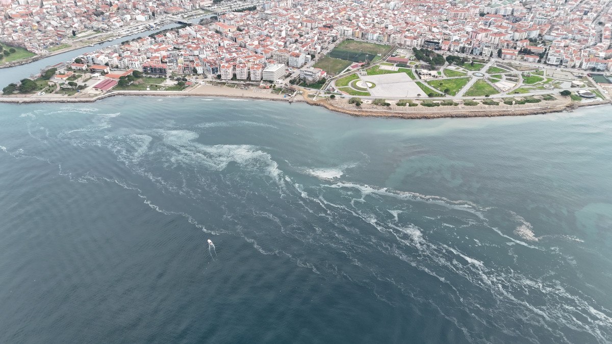 Marmara Denizi'nde Müsilaj Tehdidi Yeniden Ortaya Çıktı
