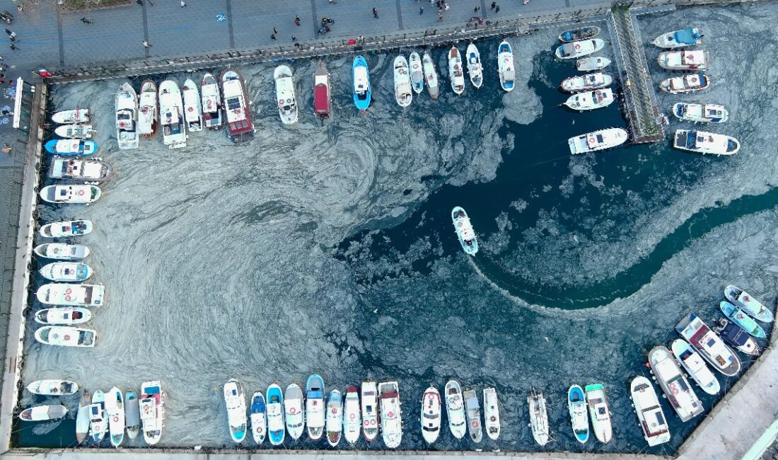 Marmara Denizi'nde müsilaj tehdidi yeniden gündeme geldi. Deniz ekosistemini tehdit