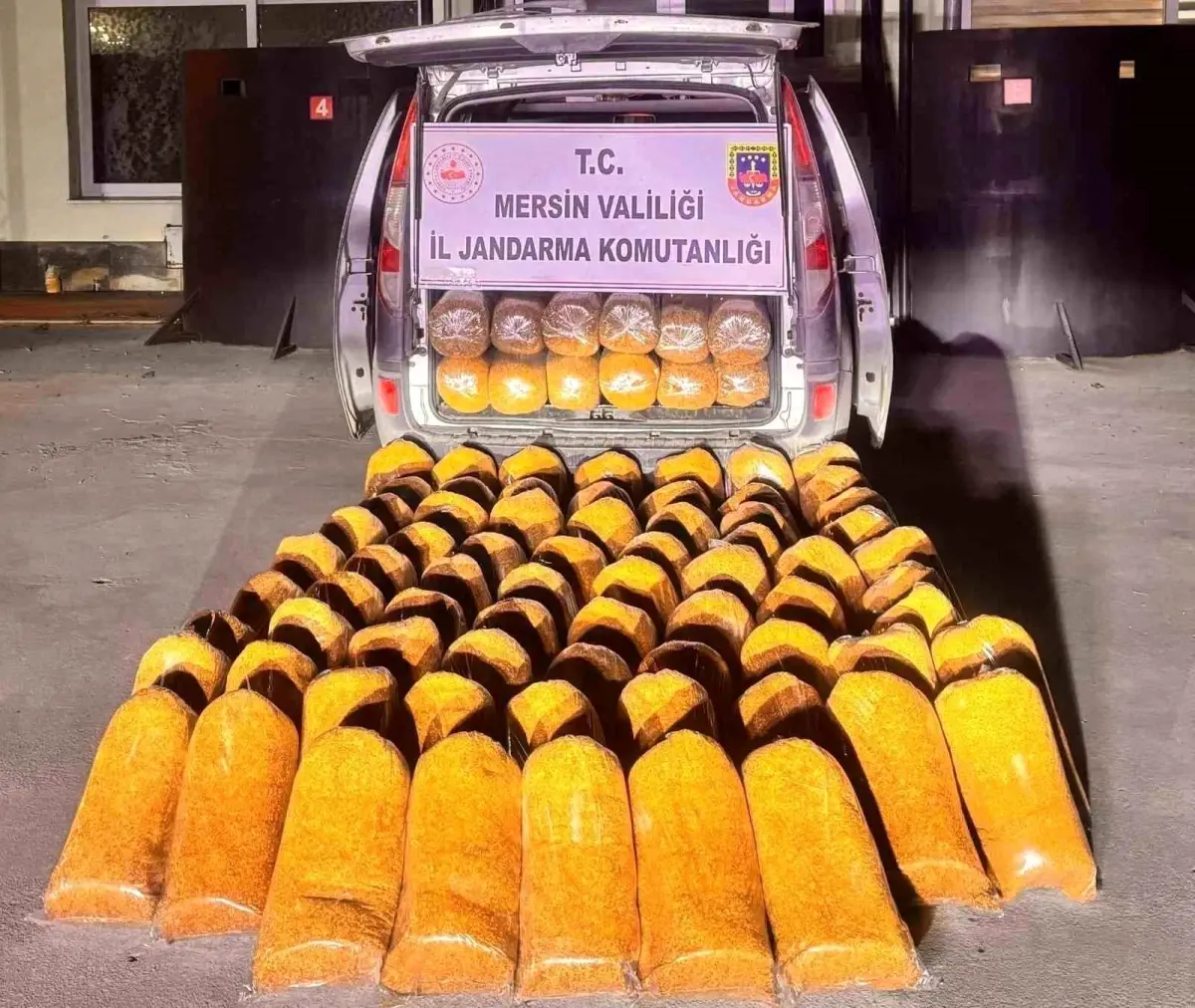 Jandarma, Mersin'de geçersiz bandrollü 580 kg kaçak tütün ve bir