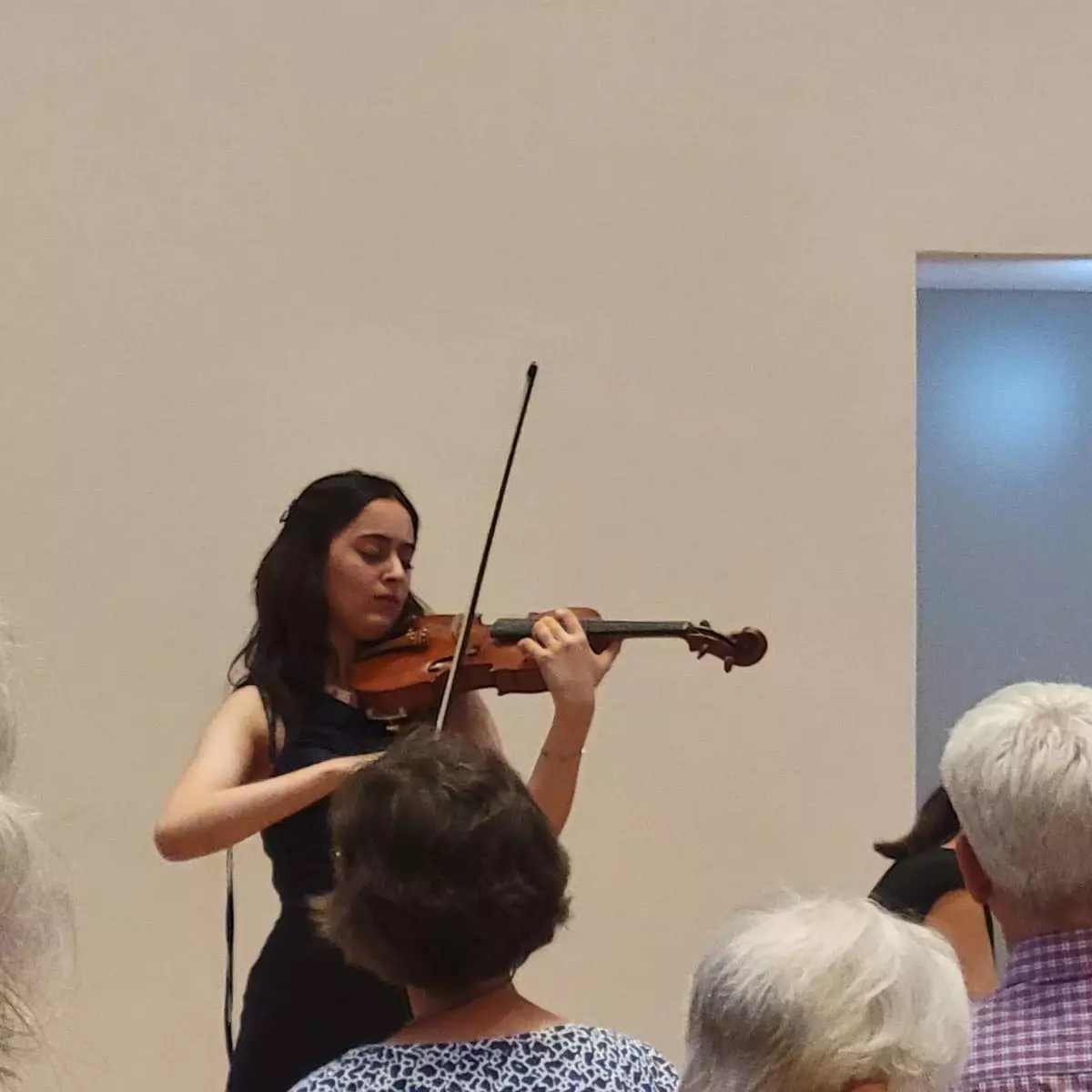 Mersin'de ödüllü keman sanatçısı Laçin Akyol'un beyin ölümü gerçekleşti. Sanat