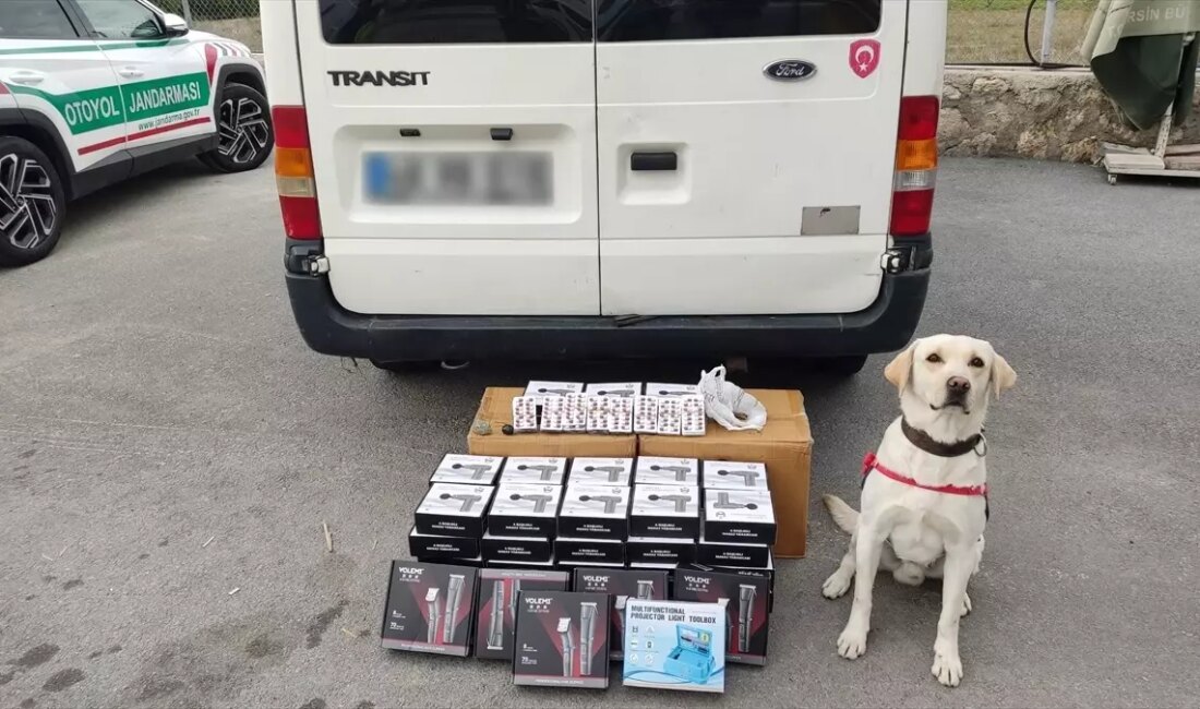 Mersin'de düzenlenen operasyonda 3 kuşkulu gözaltına alındı, uyuşturucu ve kaçak