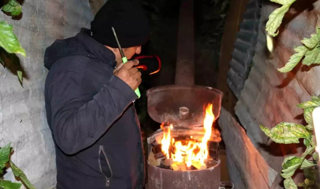 Mersin'de Sibirya soğukları sebebiyle üreticiler, seralarda zirai don nöbeti tutmaya