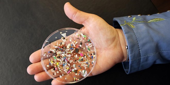 Mikroplastiklerin insan sağlığı üzerindeki etkileri her geçen gün artıyor. Bu