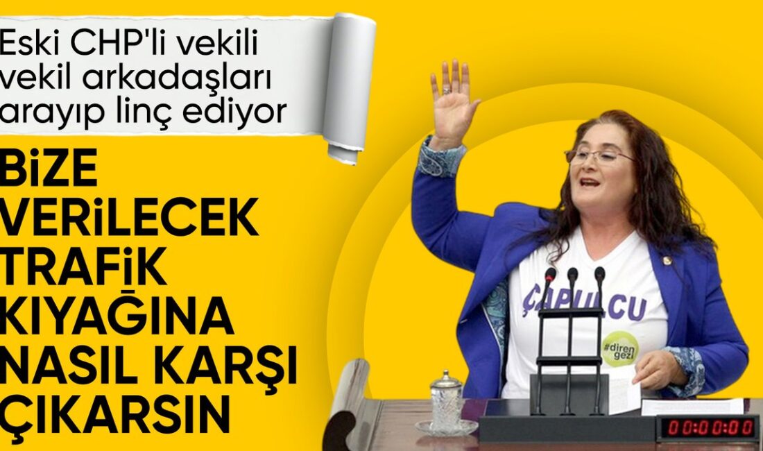 Milletvekillerine Trafik Cezası Muafiyeti Uygulaması, Türkiye'deki milletvekillerinin trafik cezalarından muaf