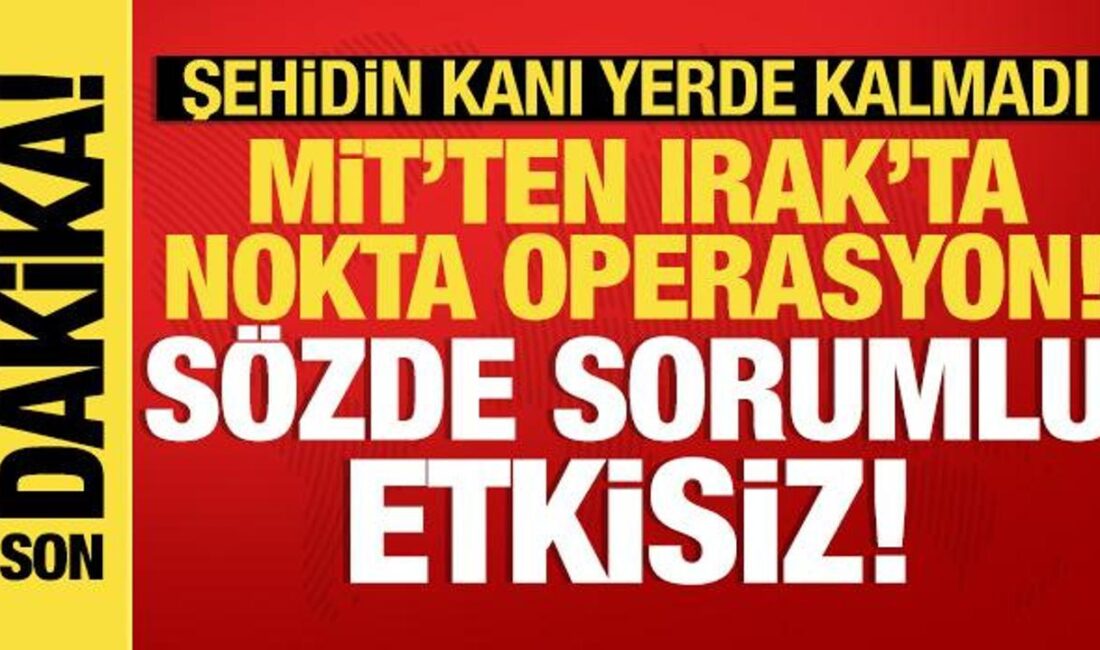 MİT, PKK'nın sözde sorumlusunu Irak'ta etkisiz hale getirerek terörle mücadelede