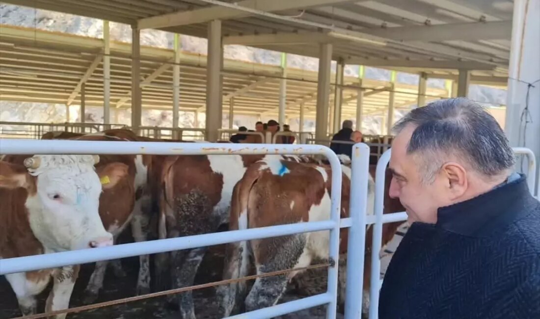 Nallıhan'da düzenlenen Gebe Düve Desteği Töreni, bölgedeki hayvancılığın desteklenmesi ve