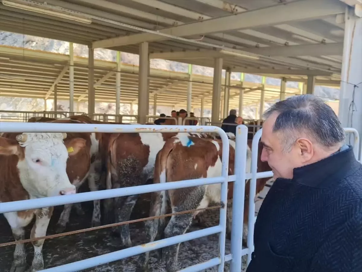 Nallıhan'da düzenlenen Gebe Düve Desteği Töreni, bölgedeki hayvancılığın desteklenmesi ve