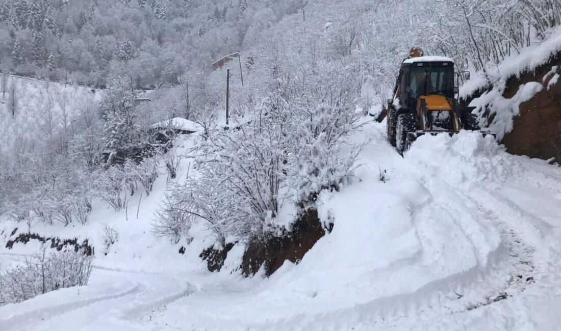 Dün akşam saatlerinde başlayan kar yağışı yüksek rakımlı ilçelerde etkili