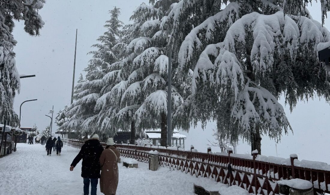 Ordu'da etkili olan kar yağışı nedeniyle okullara ara verildi. Öğrenciler