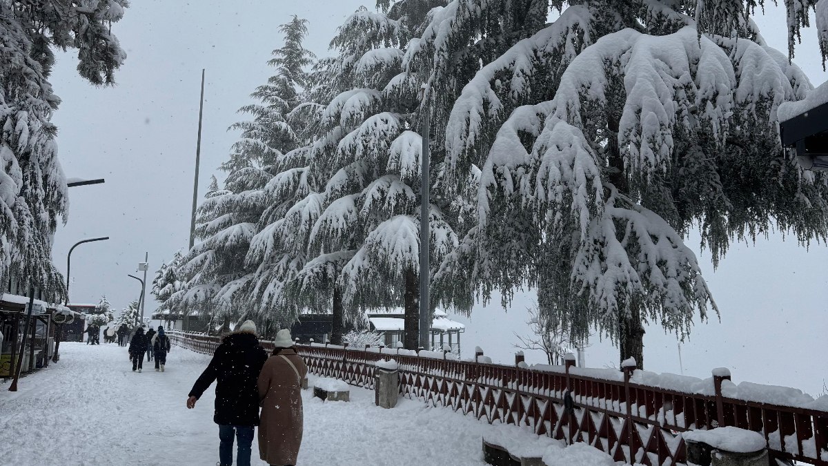 Ordu'da etkili olan kar yağışı nedeniyle okullara ara verildi. Öğrenciler