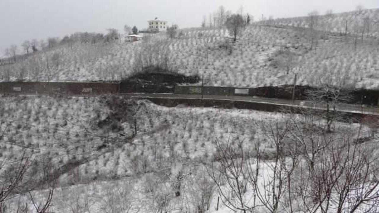 Ordu'da meydana gelen kar yağışı, tarım sektörünü nasıl etkiliyor? Bu