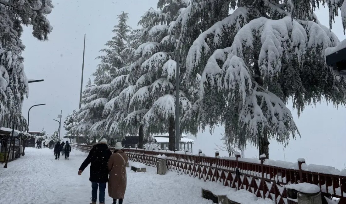 Ordu'da etkili olan yoğun kar yağışı nedeniyle eğitime ara verildi.