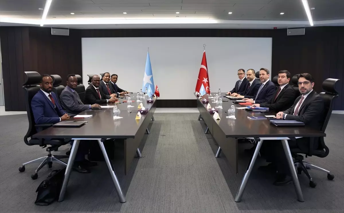 Oruç Reis Sismik Araştırma Gemisi, Somali açıklarındaki enerji kaynaklarını keşfetmek