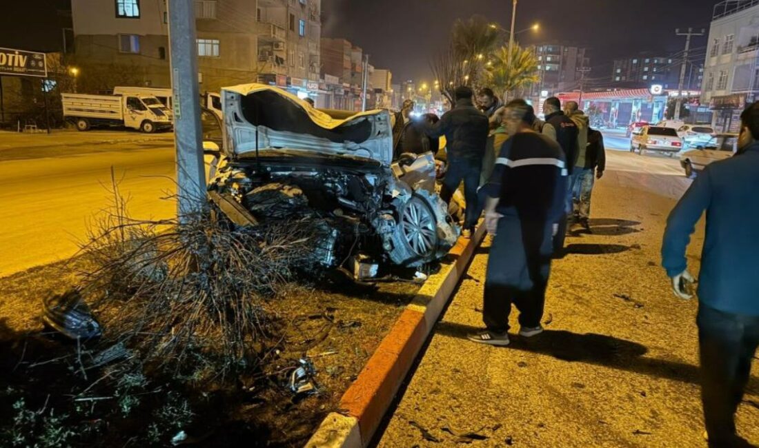 Osmaniye'de meydana gelen trafik kazasında bir sürücü, refüjdeki bir ağaca