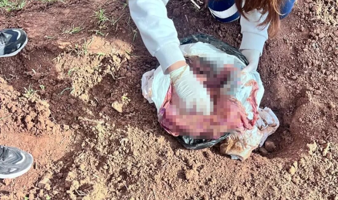 Şırnak'ın Silopi ilçesinde, yeni doğmuş kız bebeği iple boğarak öldürüp,
