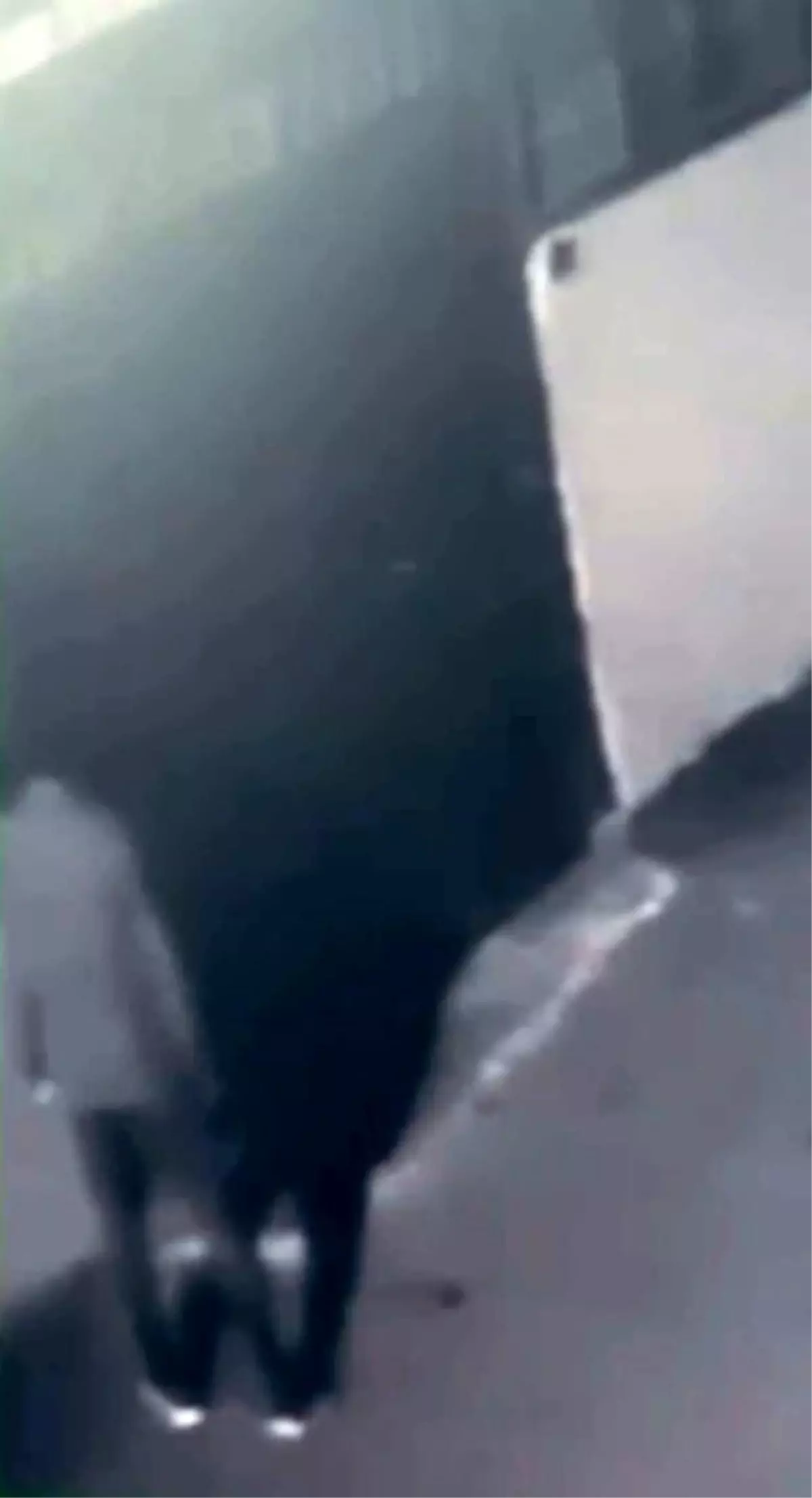 Pendik'te Türk Bayrağına yapılan saldırı sonrası yaşanan gelişmeleri ve tutuklamaları