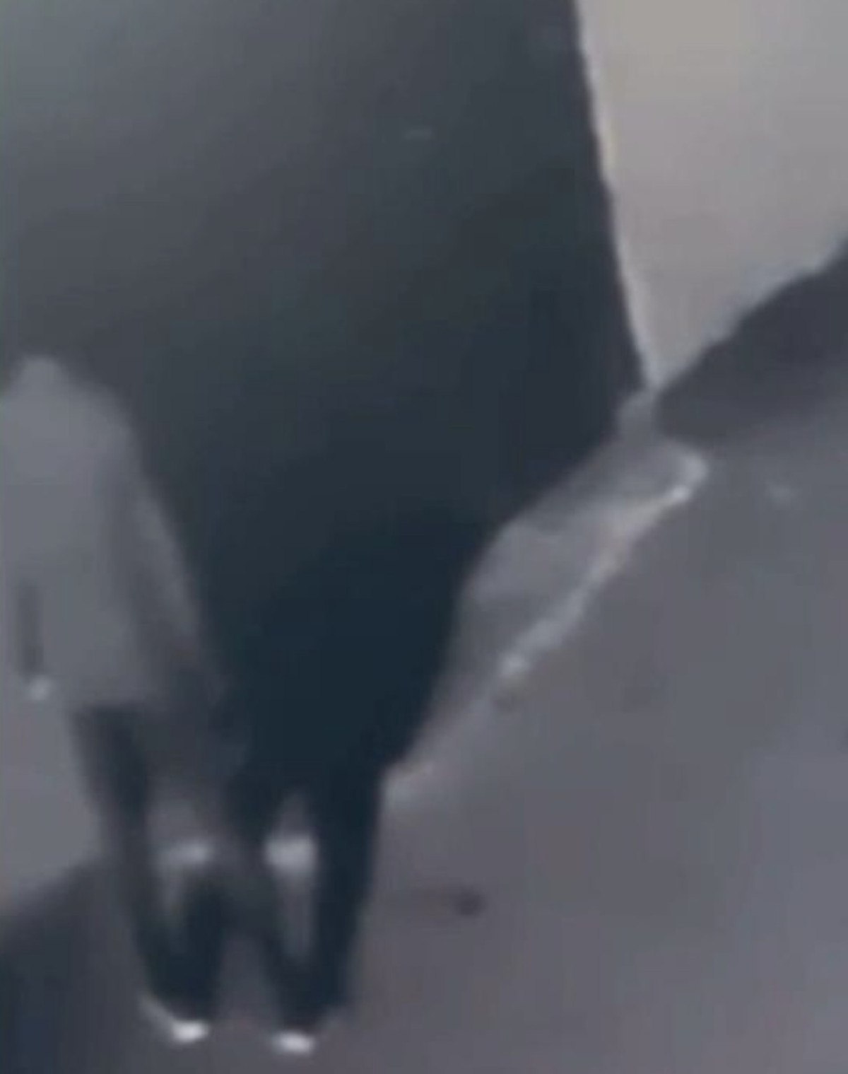 Pendik'te Türk Bayrağına Yapılan Saygısızlık ve Gözaltı Süreci