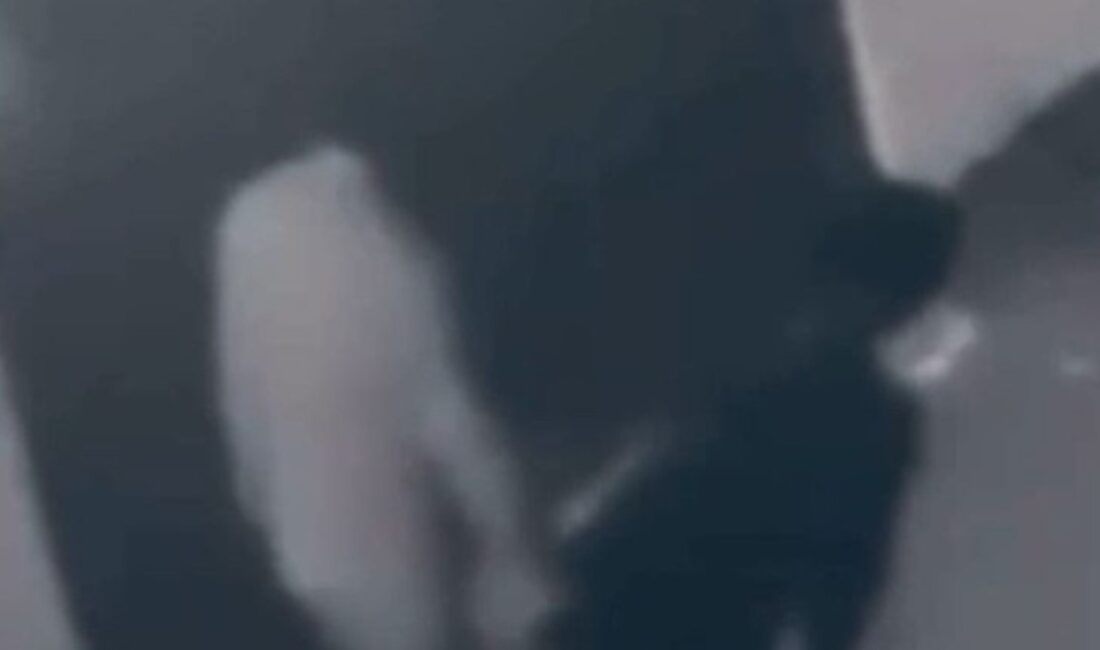 Pendik'te Türk bayrağına yapılan saygısızlık olayı ve sonrasında gelişen gözaltı