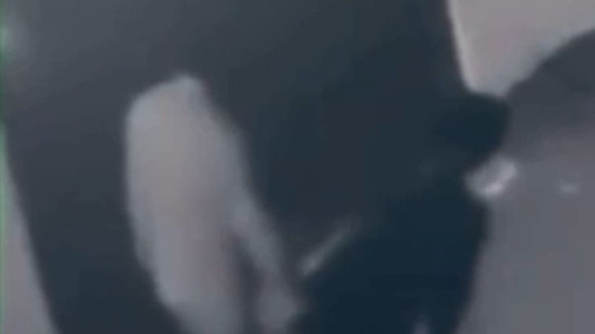 Pendik'te Türk bayrağına yapılan saygısızlık olayı ve sonrasında gelişen gözaltı