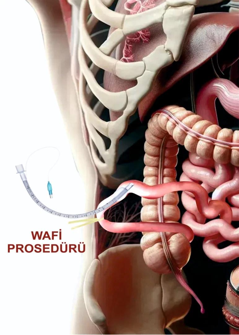 AMERİKALI PROFESÖRDEN İŞBİRLİĞİ TEKLİFİ