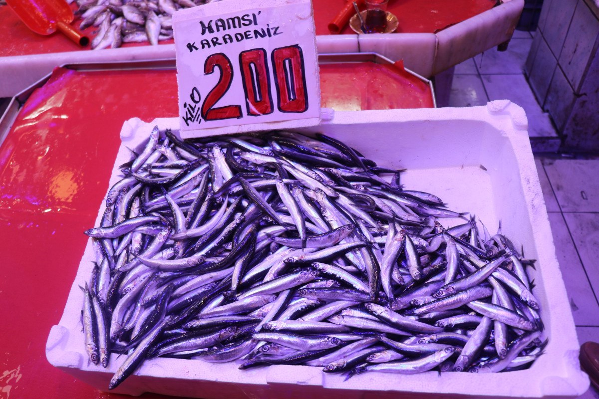 Sakarya'da Balık Fiyatları Dalgalanıyor