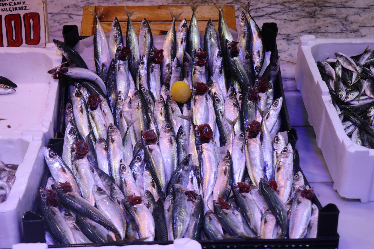 Sakarya'da Balık Fiyatları Artıyor: Hamsi 200 Lira