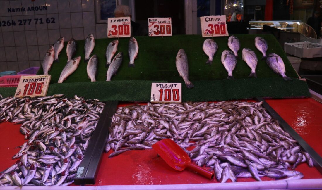 Sakarya'da balık fiyatları hızla artıyor! Özellikle hamsi fiyatları 200 liraya