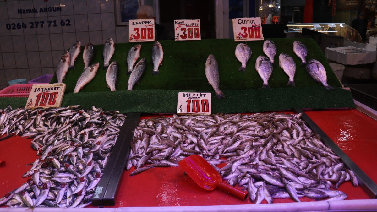 Sakarya'da balık fiyatları hızla artıyor! Özellikle hamsi fiyatları 200 liraya