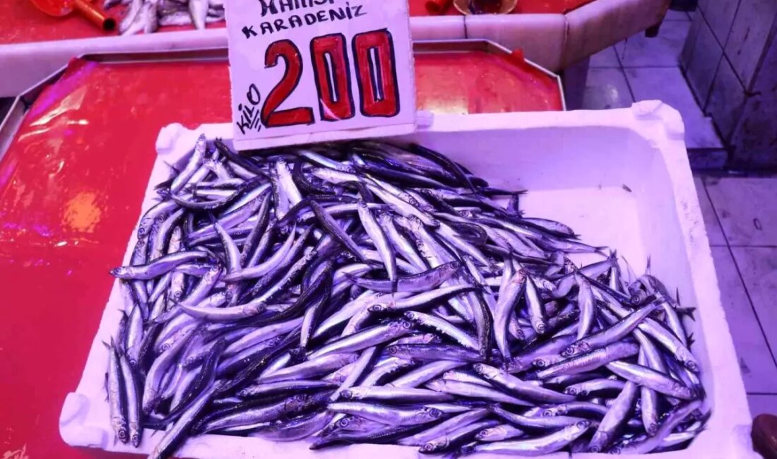 Sakarya'da balık fiyatları hızla yükseliyor. Hamsi ve istavrit arasındaki farkları